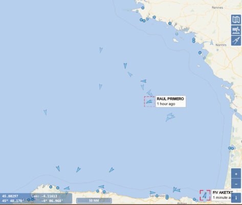 Mortalité et échouages dans le golfe de Gascogne (maj 8fev)